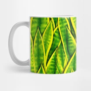 Sansevieria Trifasciata Laurentii Pattern Mug